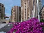  Kentplus Mimarsinan Evleri'nde 160 bin TL! 48 ay 0 faiz!