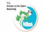 Şile Pınartepe'ye Doğa Eğitim Okulu yapılacak! 