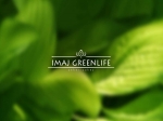  İmaj Greenlife Zekeriyaköy projesinde teslimler ne zaman?